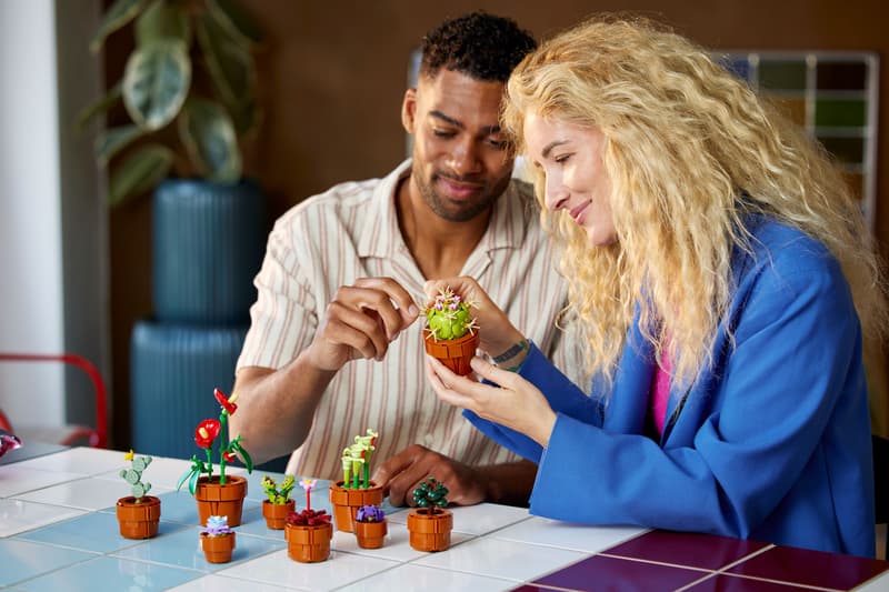 LEGO® Botanicals Tiny Plants
