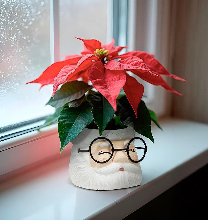 Planter - Santa Face - Small 3"