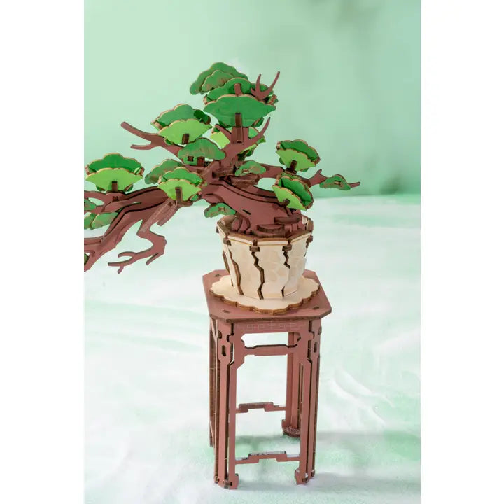 3D Puzzle Kit - Bonsai Tree - Green Brown