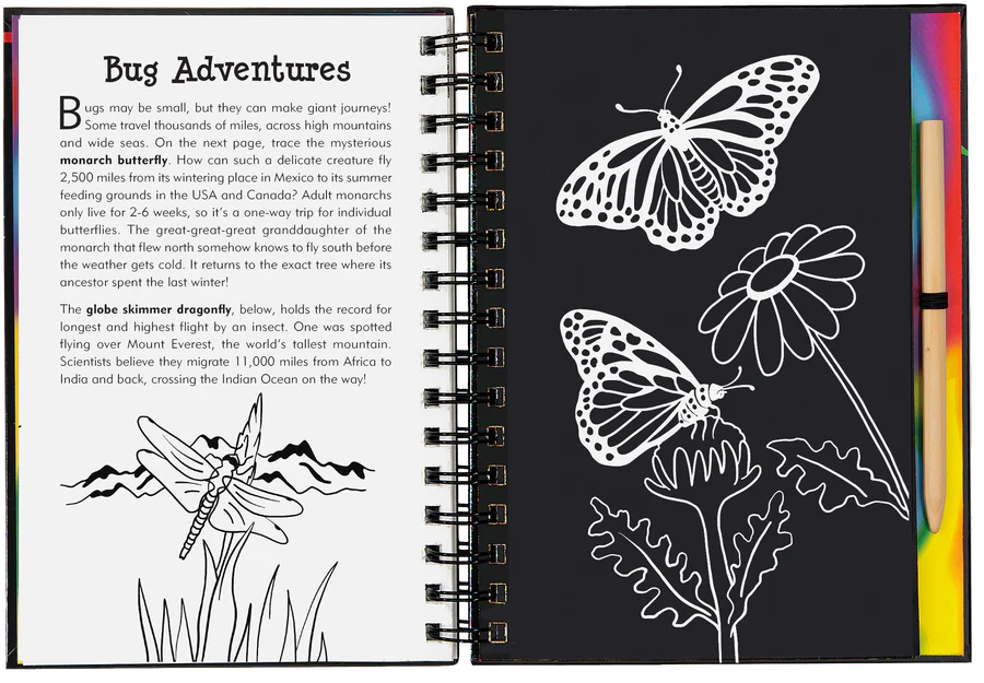 Book - Scratch & Sketch - Bugs!