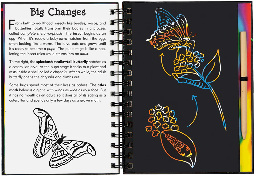 Book - Scratch & Sketch - Bugs!