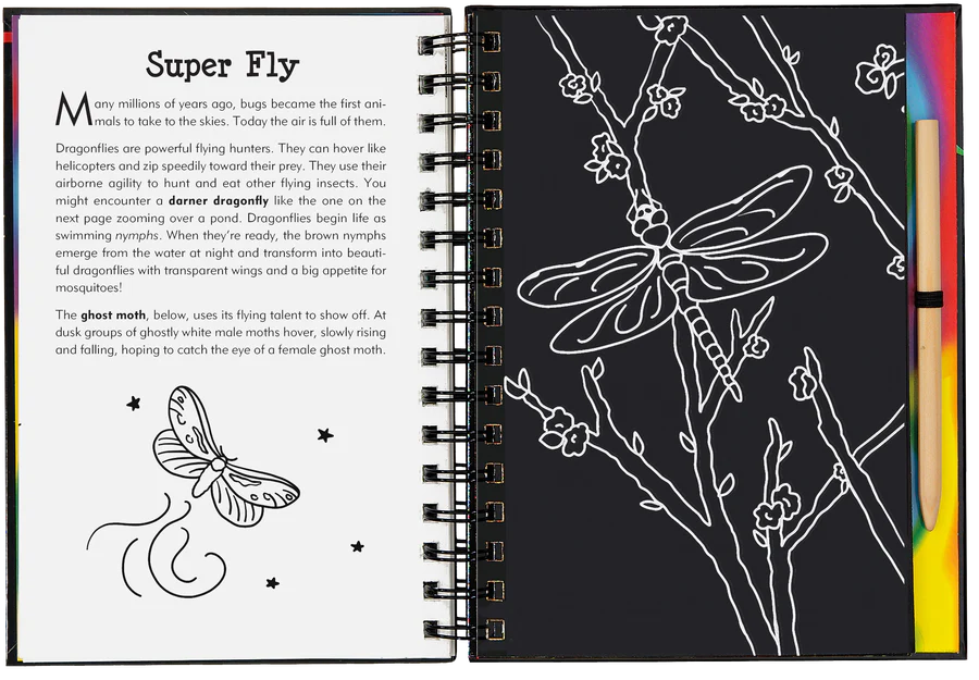 Book - Scratch & Sketch - Bugs!