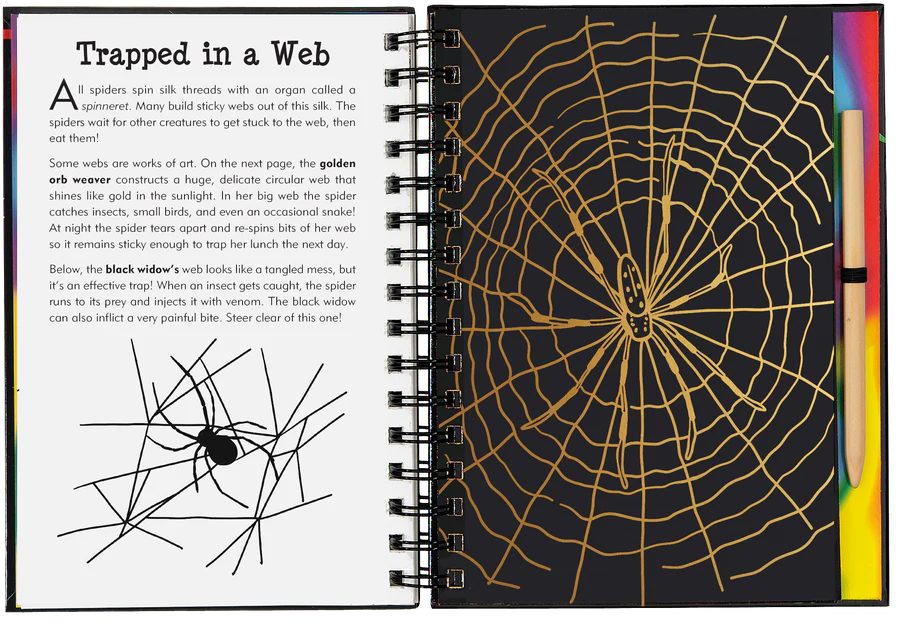 Book - Scratch & Sketch - Bugs!