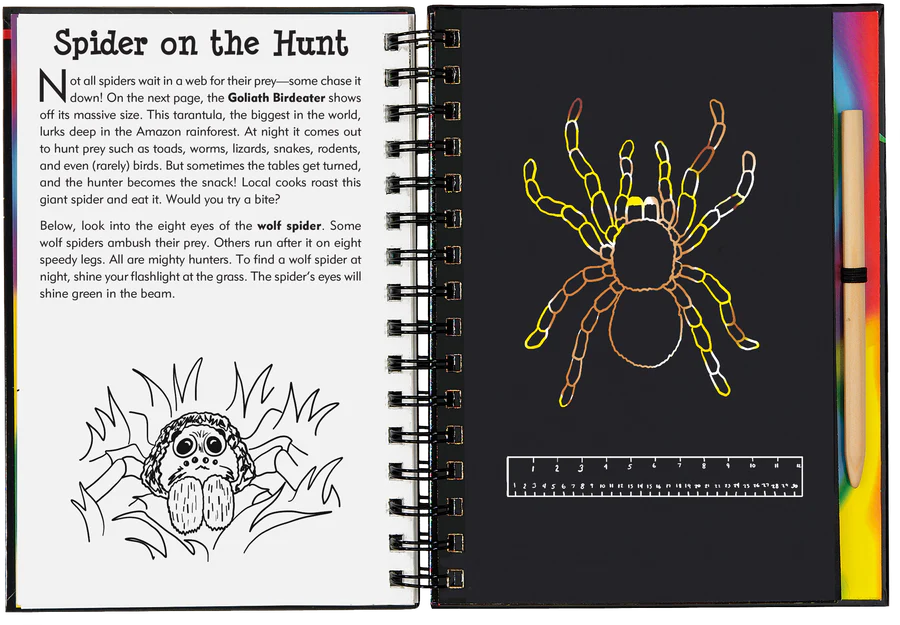 Book - Scratch & Sketch - Bugs!