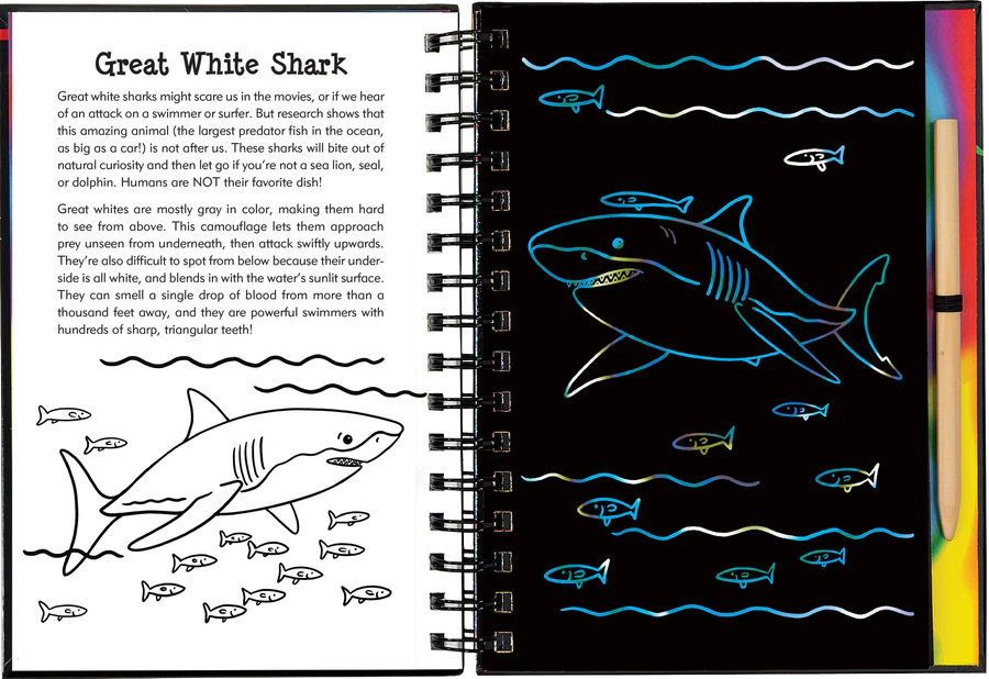 Book - Scratch & Sketch - Sharks