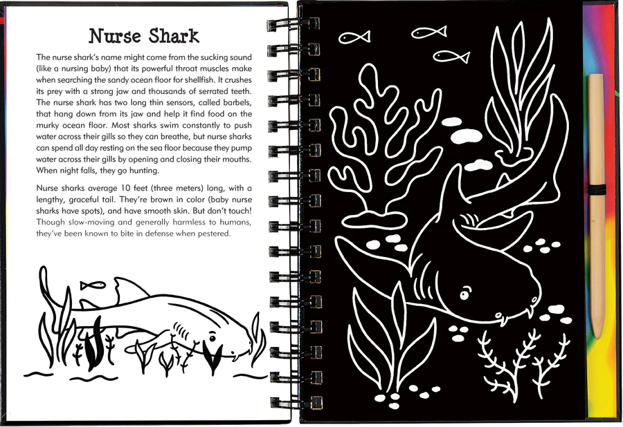 Book - Scratch & Sketch - Sharks