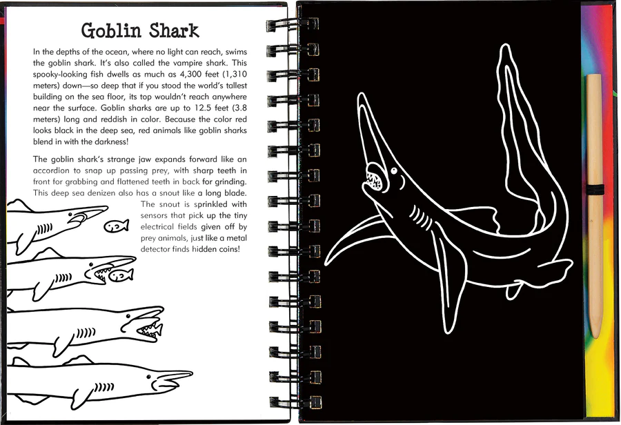 Book - Scratch & Sketch - Sharks