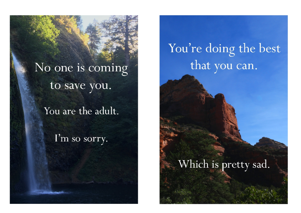 Book - Disappointing Affirmations