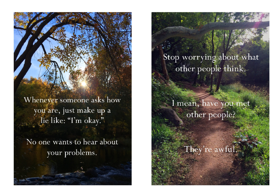 Book - Disappointing Affirmations