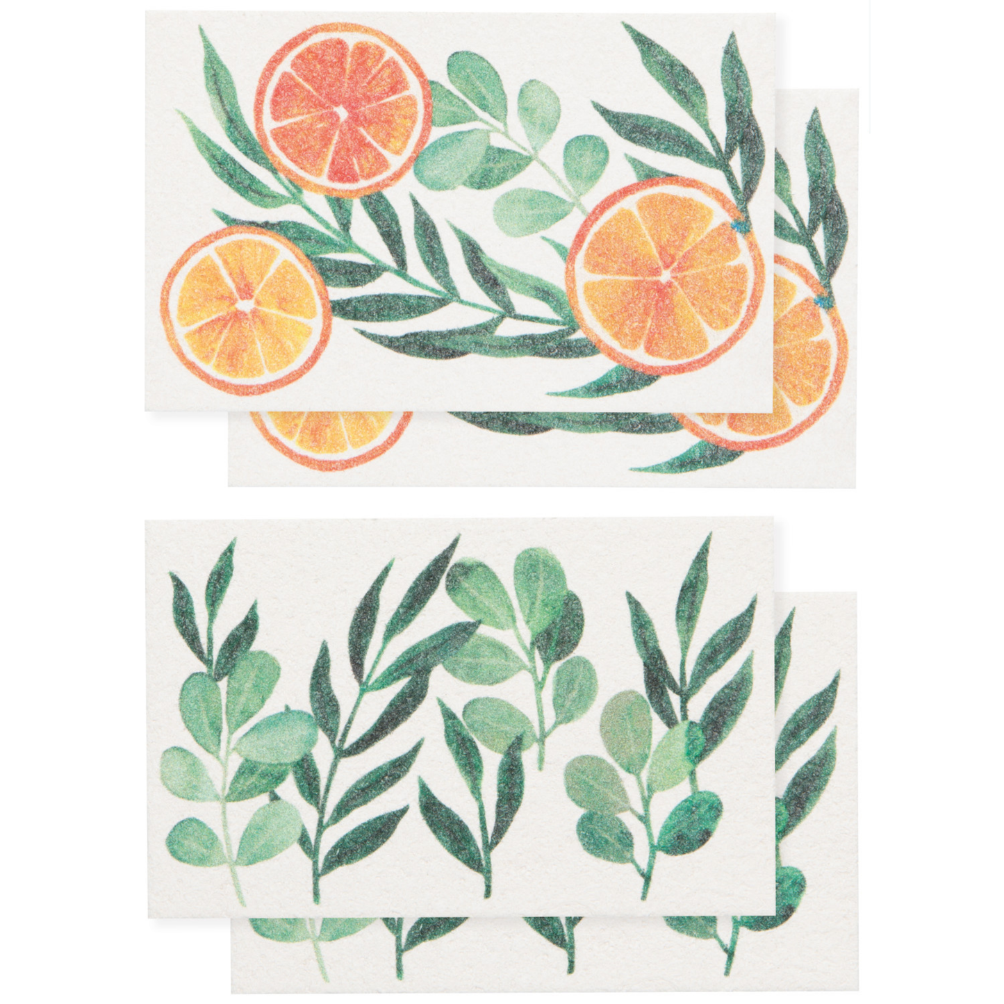 Pop Up Sponge Set - Cedar & Citrus - Set of 4