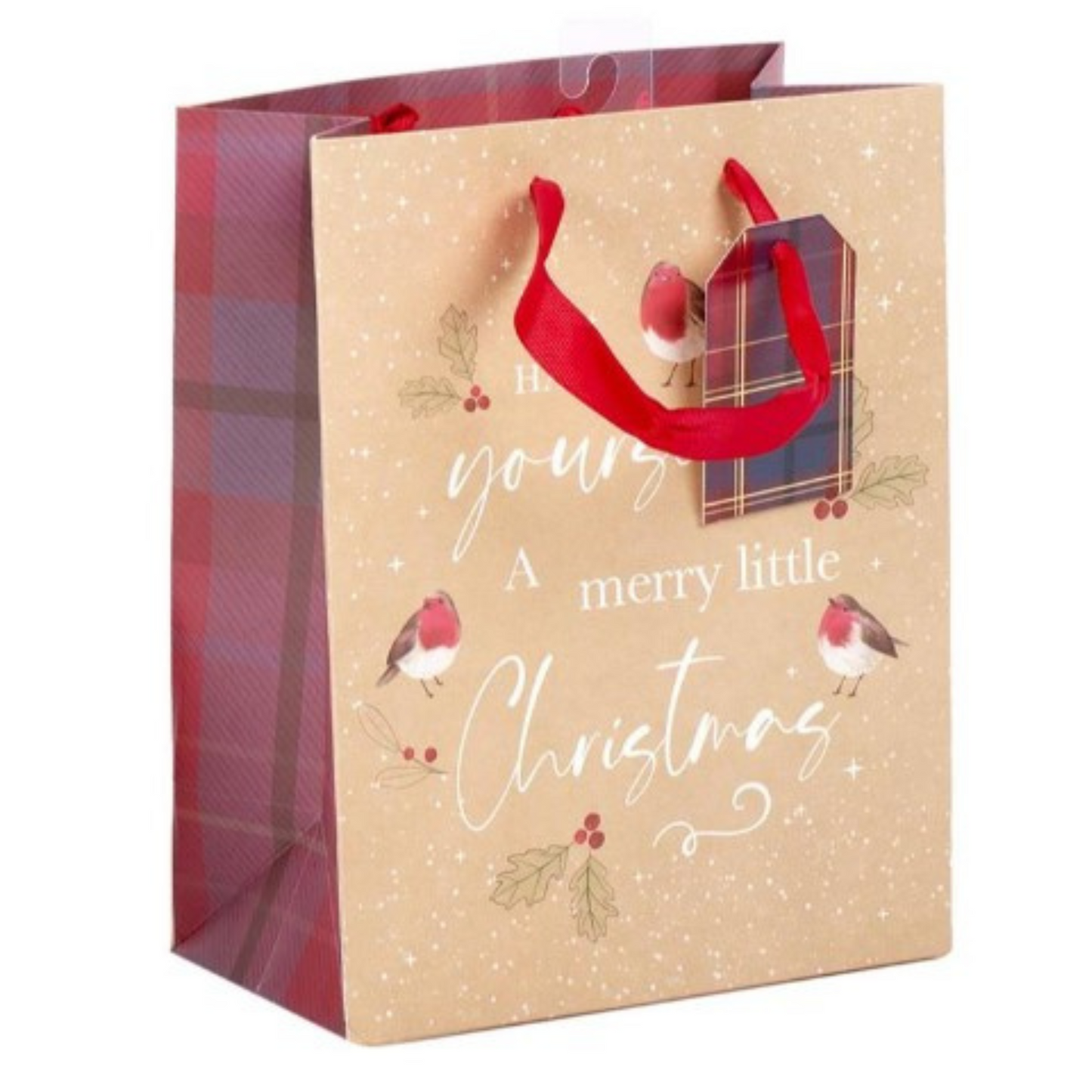 Large Gift Bag - Merry Little Christmas Birds - 12"