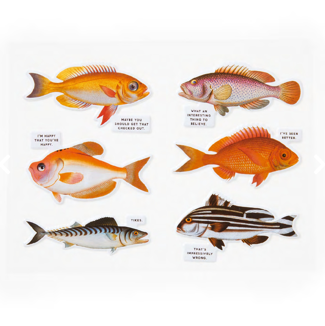 Puzzle - Judgy Fish - 1000 Piece