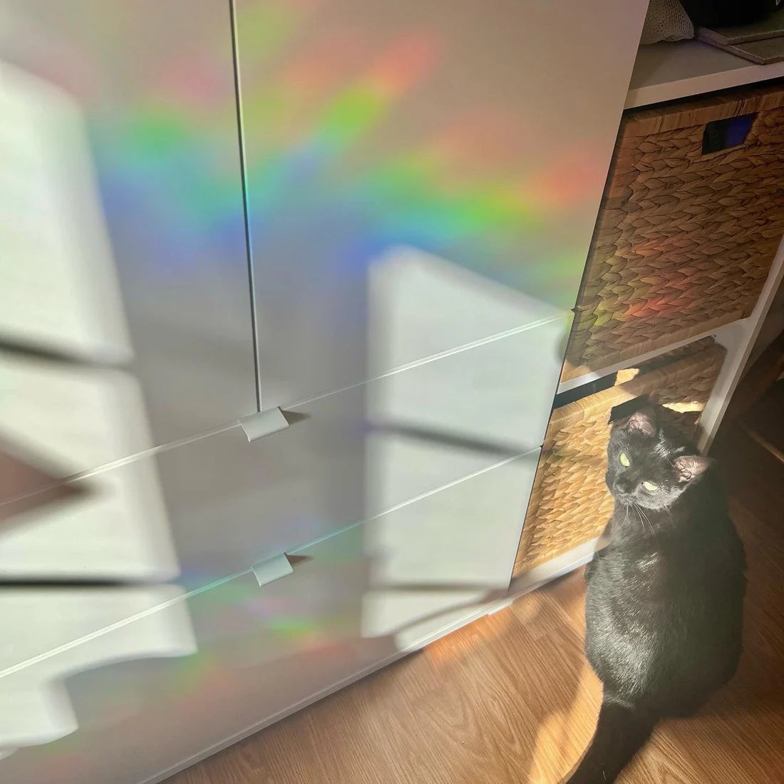 Suncatcher - Window Cling - Disco Ball
