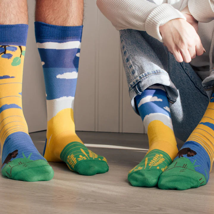 Socks - Large - Prairie Canadian Landscape