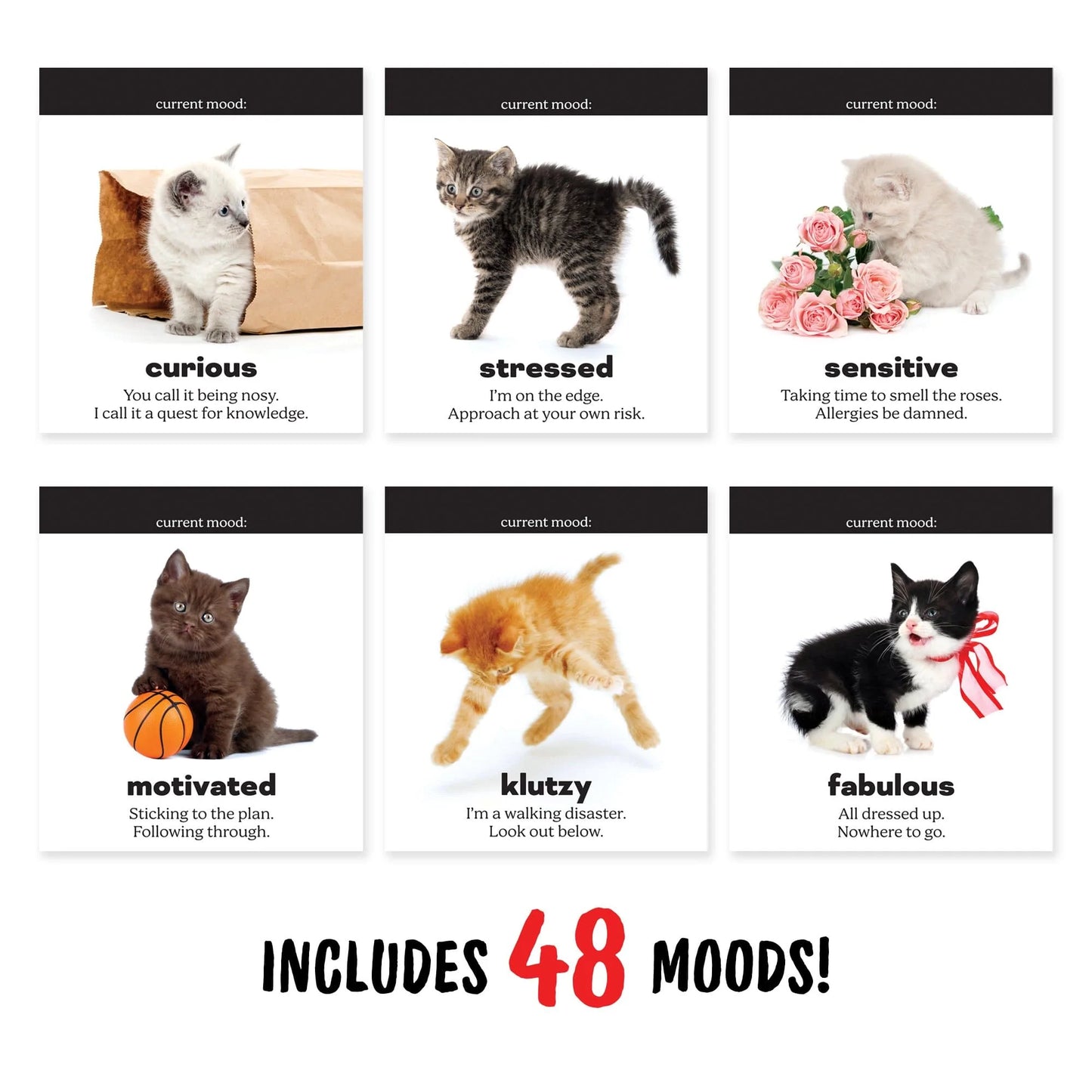 Desk Flipchart - Daily Catitudes