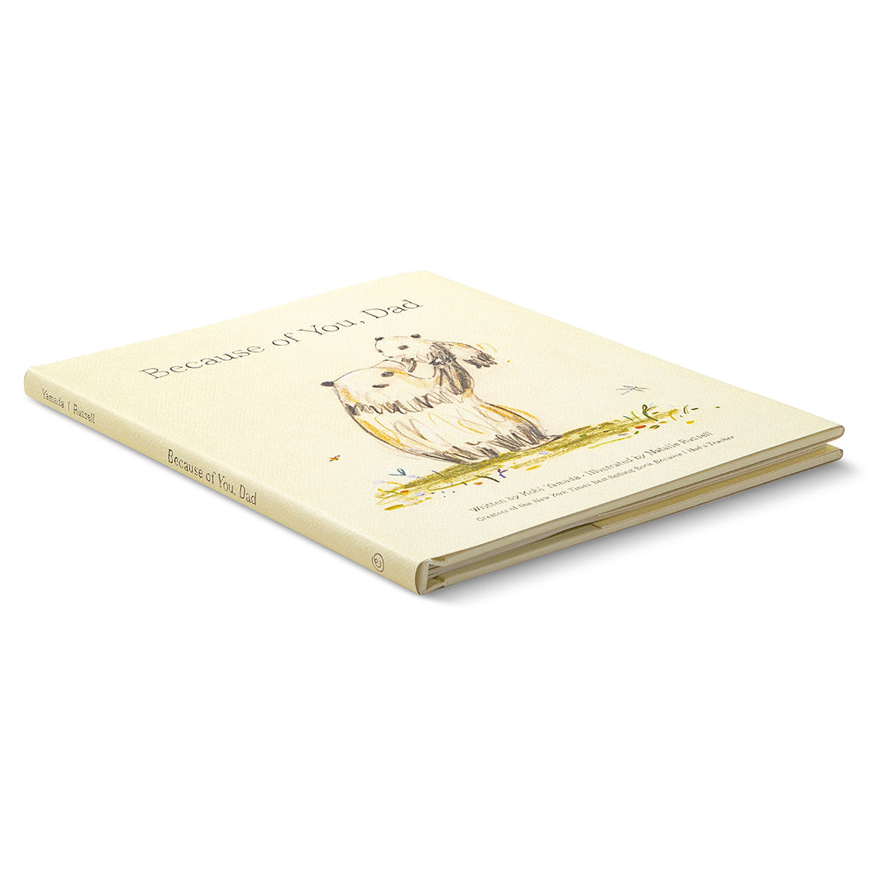 Book - Because Of You, Dad
