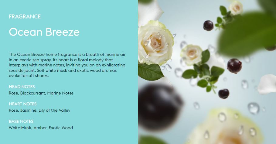 Lamp Starter Kit - Square Lamp + 2 Scents