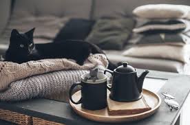 Tea Infuser - Purr-Tea
