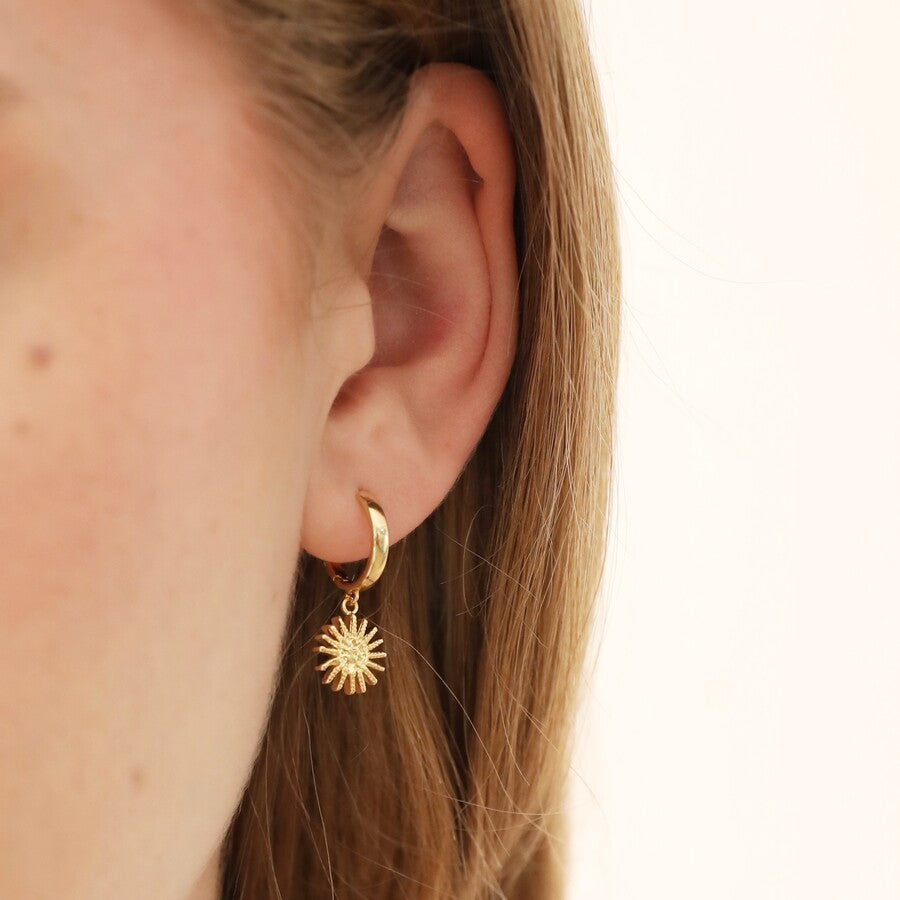 Earrings - Gold Huggies - Sun Star