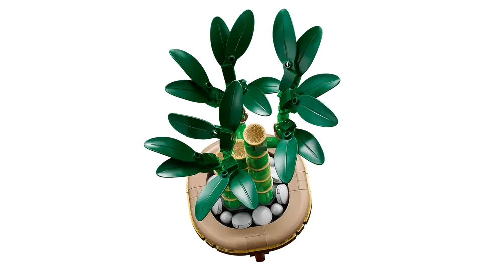 LEGO® Botanicals Lucky Bamboo