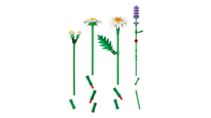 LEGO® Botanicals Daisies