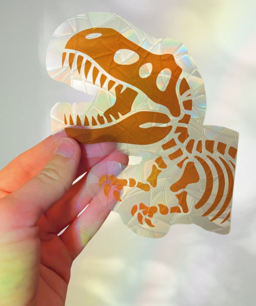 Suncatcher - Window Cling - Dinosaur