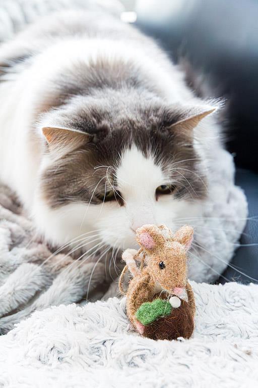 Ornament - Felt - Mouse with Christmas Pudding