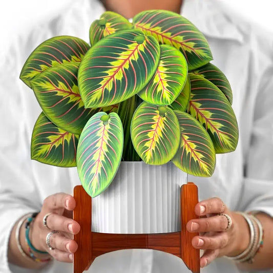 Paper Bouquet - Prayer Plant - 11"