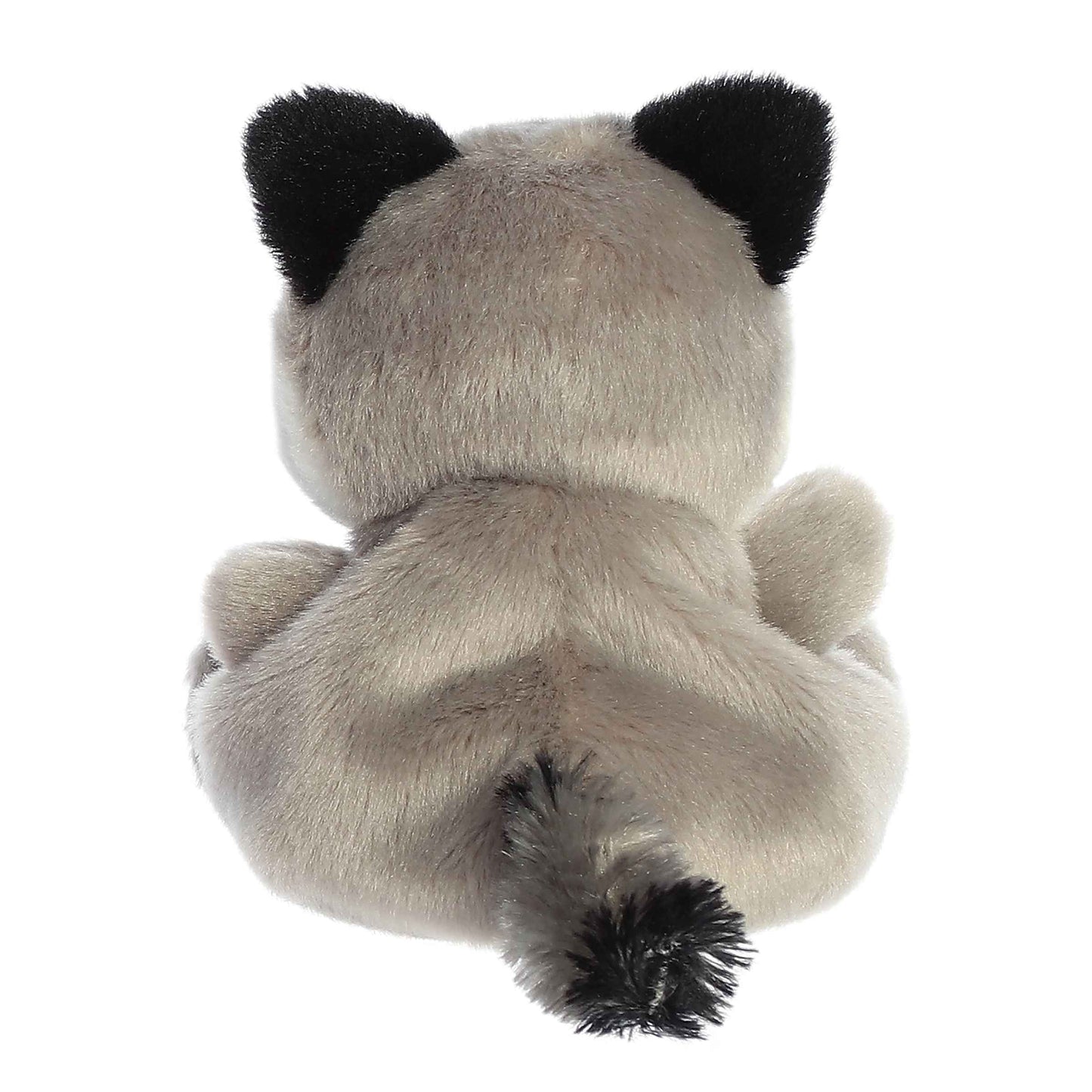 Stuffy - Palm Pals - Rascal Raccoon
