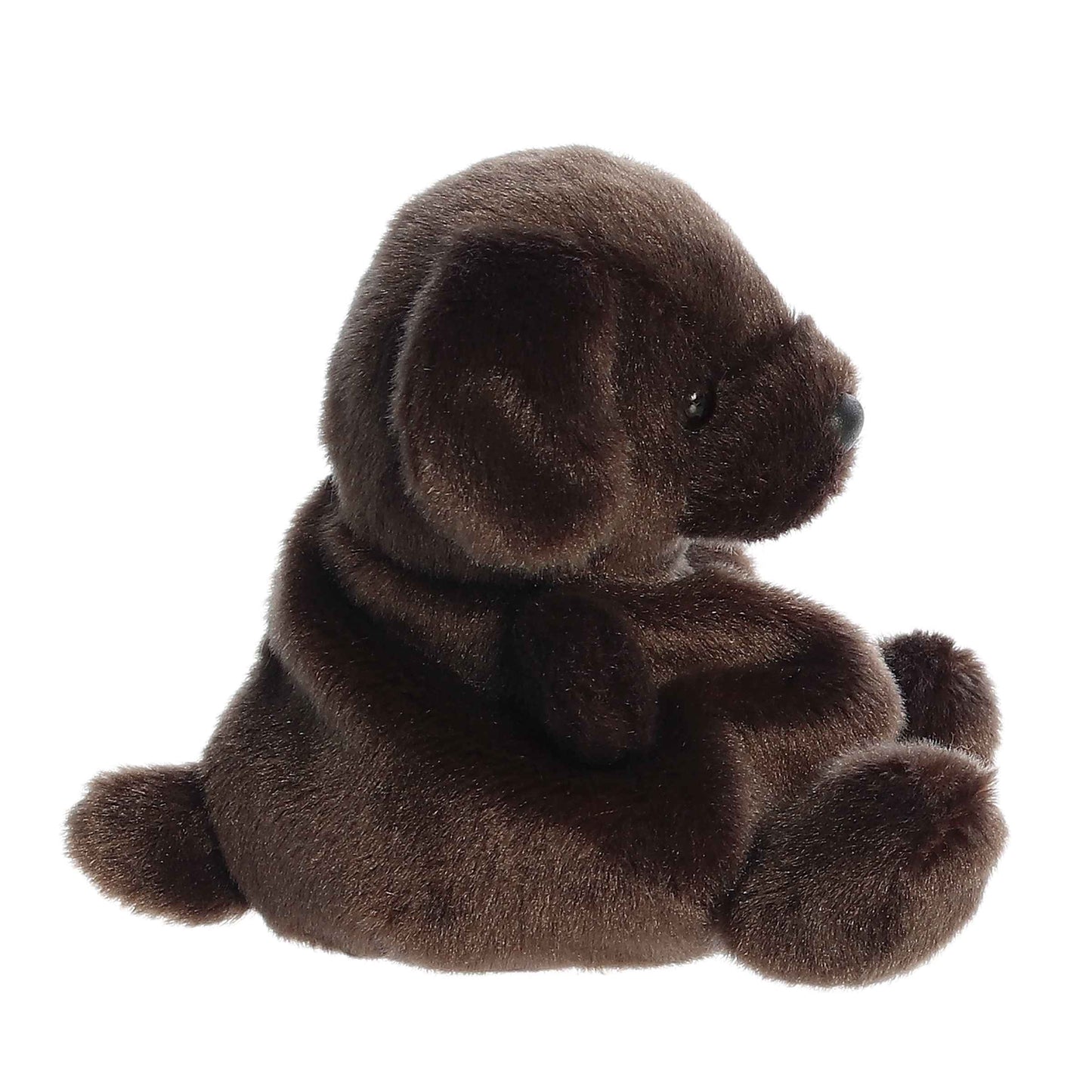 Palm Pals - Sienna Chocolate Lab