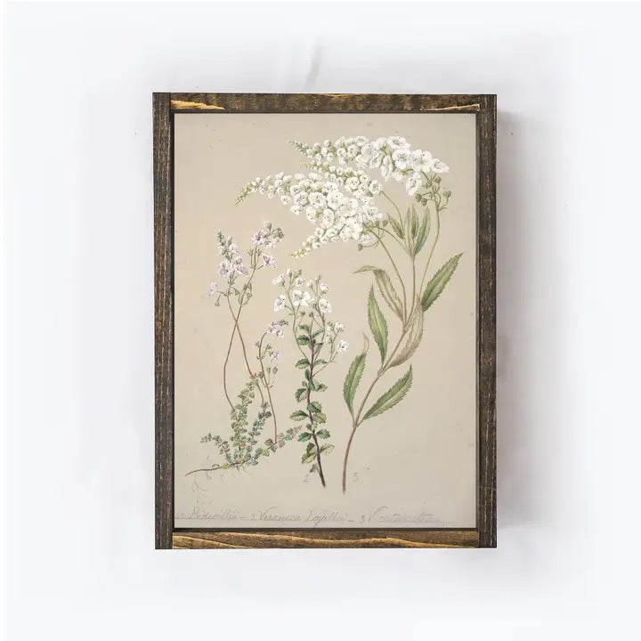 Sign - Flower Drawing 3 - 8.5 X 7"