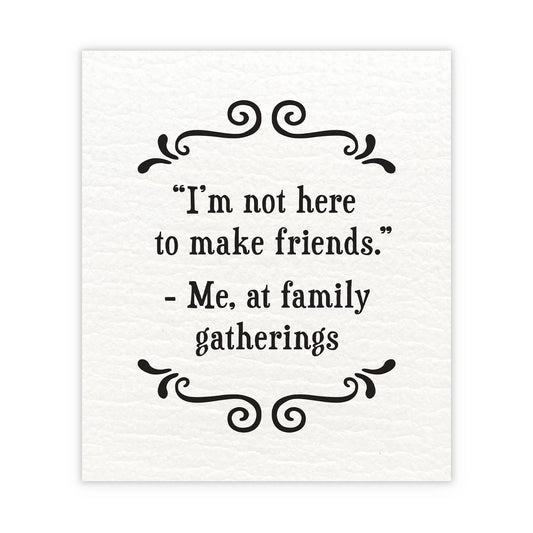 Swedish Cloth - I'm Not Here To Make Friends - Set of 2