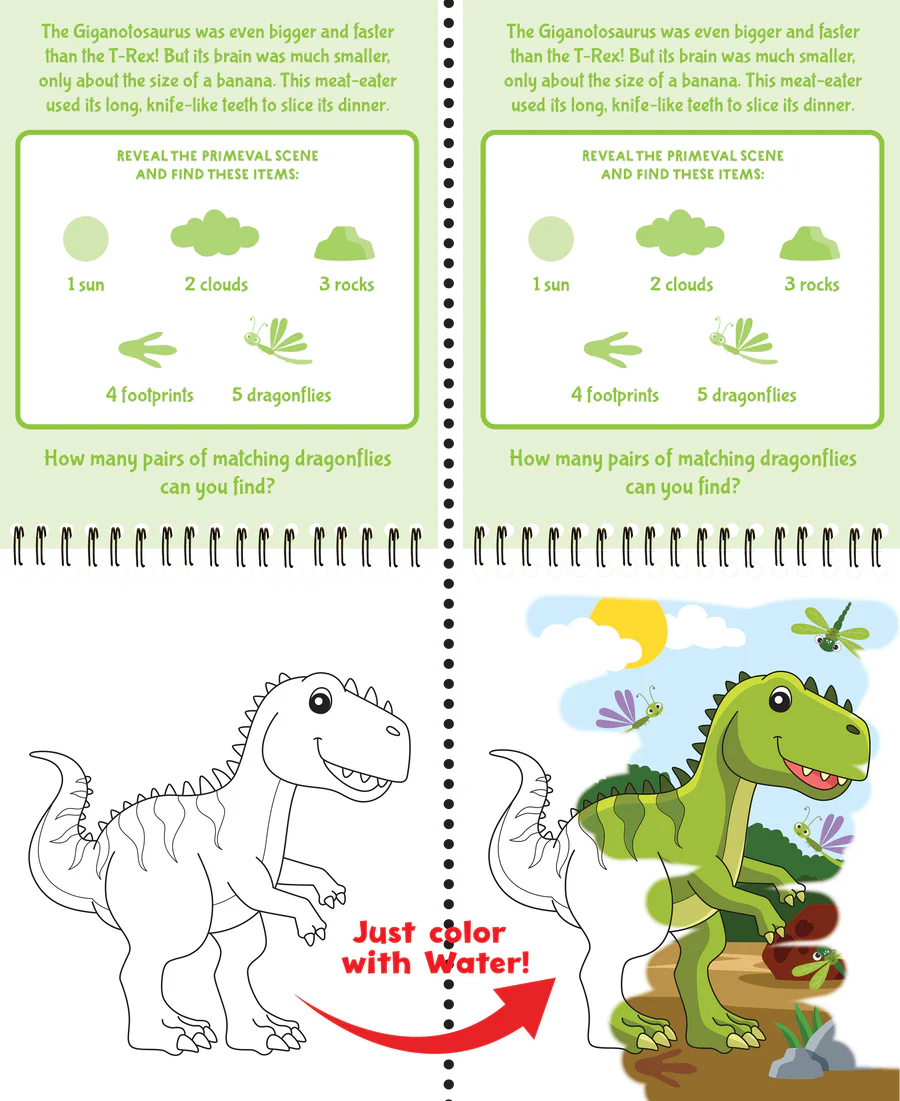 Book - Colour with Water - Dinosaurs