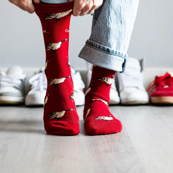 Socks - Small - Canada Goose