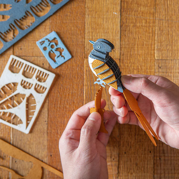 3D Puzzle - Paradise Flycatcher