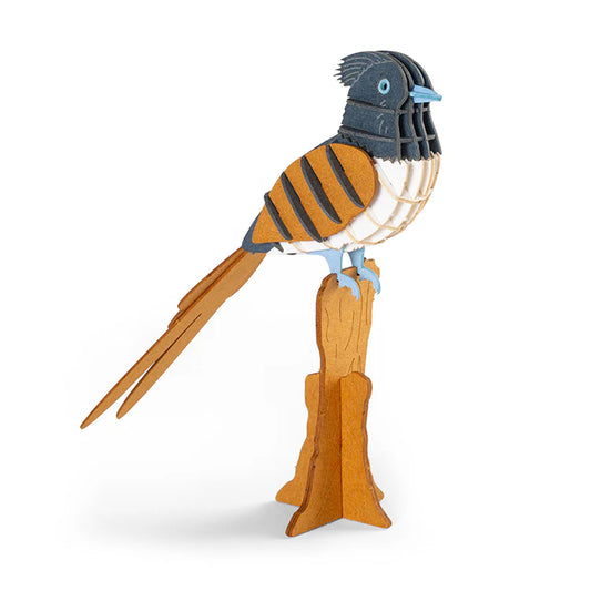 3D Puzzle - Paradise Flycatcher
