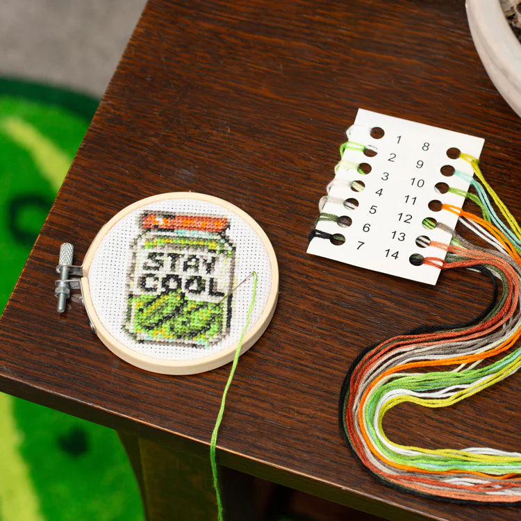 Mini Cross Stitch Embroidery Kit - Pickle