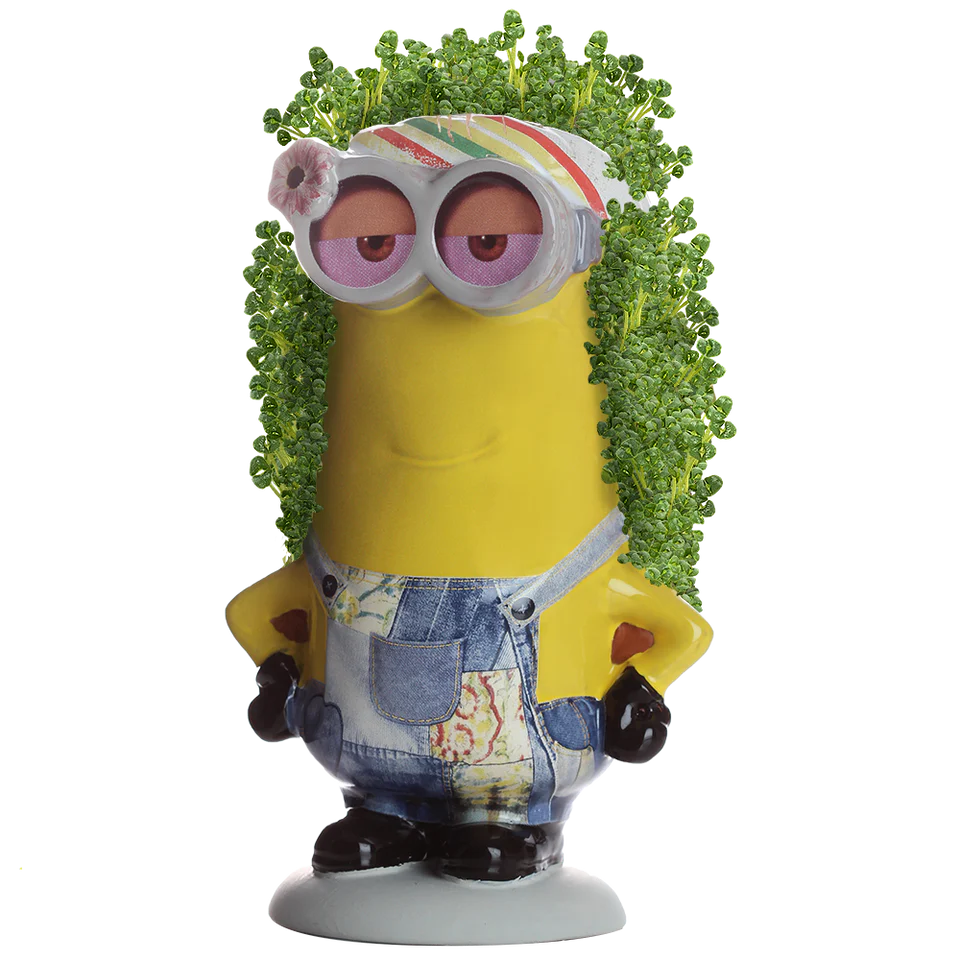 Chia Pet - Minion Kevin