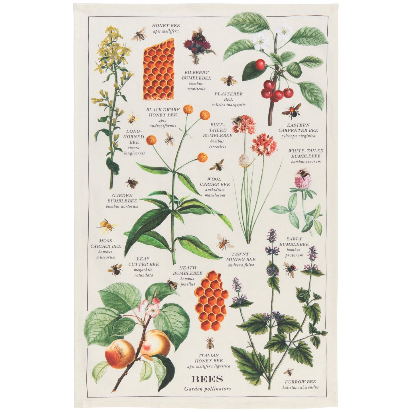 Dish Towel - Bee Varieties