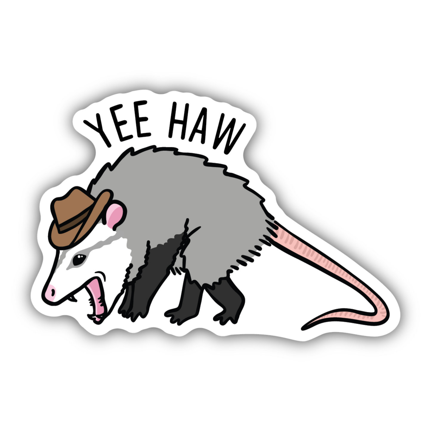 Sticker - Yee Haw Possum