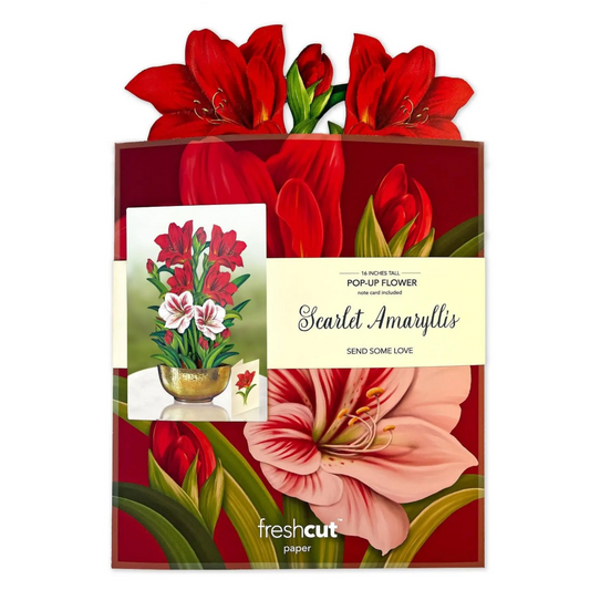 Paper Bouquet - Scarlet Amarylis - 16"