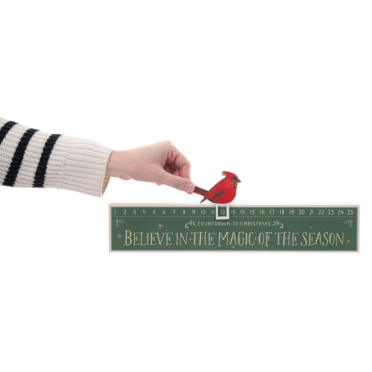 Countdown Calendar - Cardinal - Believe in the Magic of the Season