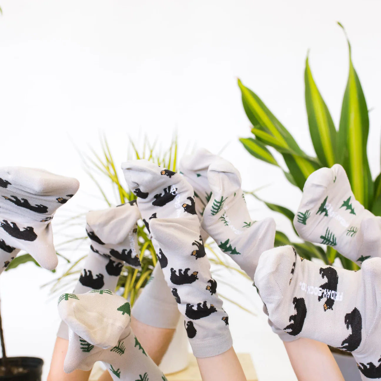 Socks - Large - Bear & Trees