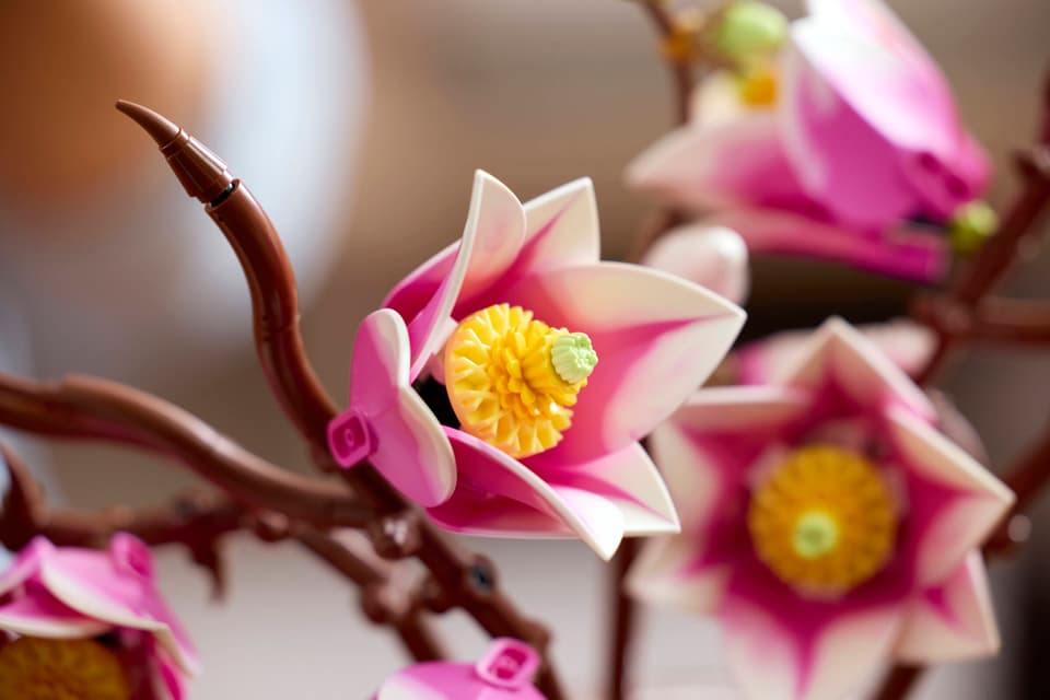 LEGO® Botanicals Magnolia Branches