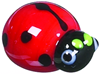 Charm - Tiny Little Ladybug