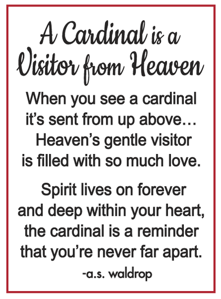 Charm - Cardinal Visitor from Heaven