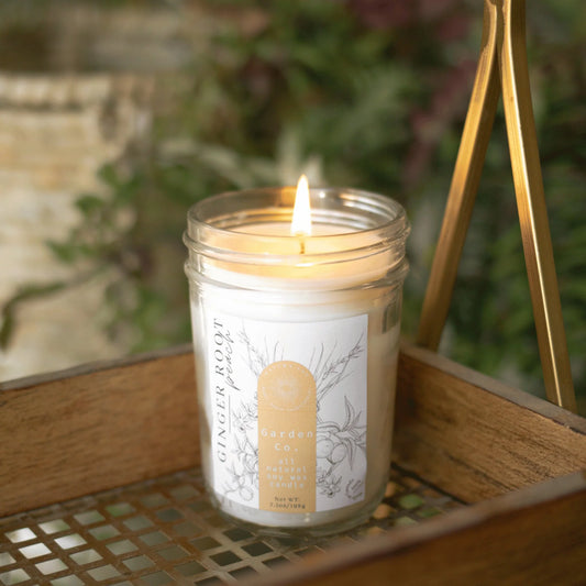 Candle - Gingerroot Peach - 7.5oz