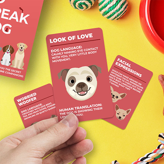 Card Set - How To Speak Dog