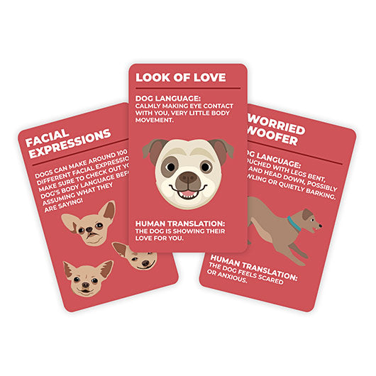 Card Set - How To Speak Dog