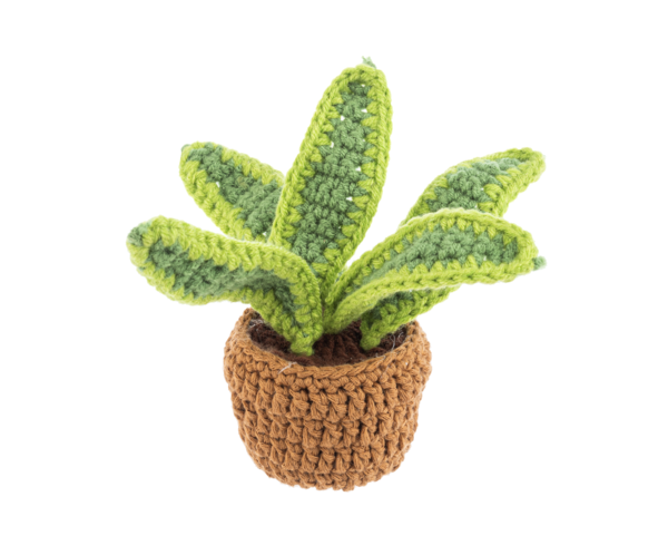 Decor Piece - Crochet House Plant